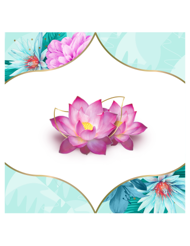 KAST 5 tk! Discreet Multiform Waterlily...