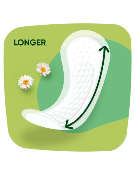 Naturella Light Camomile Pesukaitsmed, 100 tk