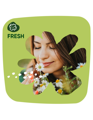 KAST 8 tk! Naturella Light Calendula Tenderness...