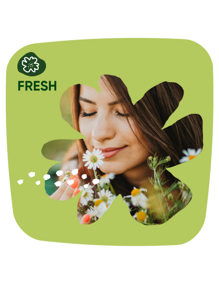 KAST 8 tk! Naturella Light Calendula Tenderness Pesukaitsmed, 52 tk