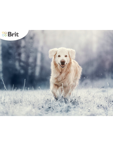 Brit Premium by Nature Adult L koeratoit, 15 kg