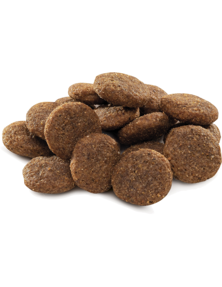 Brit Premium by Nature Adult L koeratoit, 15 kg