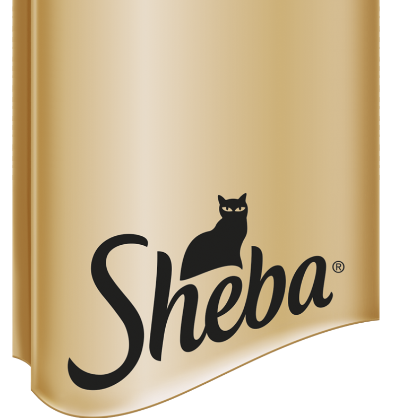 SHEBA